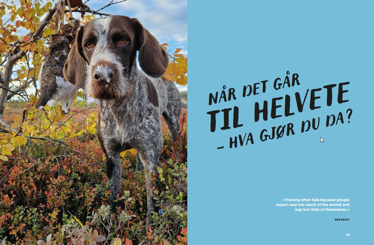 FØR DET SMELLER
