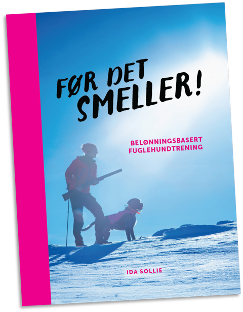 FØR DET SMELLER
